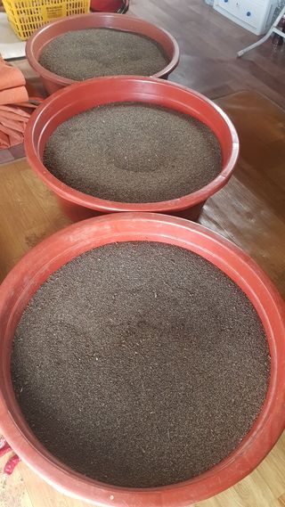 최춘득 청대산 님의 기타작물 · 영농일지 작성글 사진