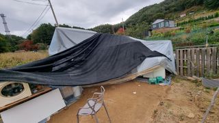 마음이부자인집님의 기타작물 · 영농일지 작성글 사진