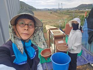 심기정님의 들깨 · 영농일지 작성글 사진