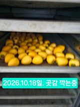 멧돼지님의 작성글 사진