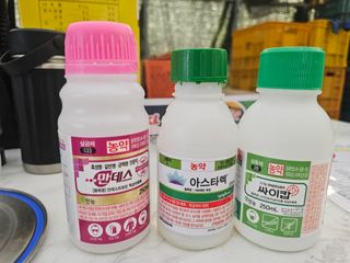 김상엽님의 딸기 · 영농일지 작성글 사진