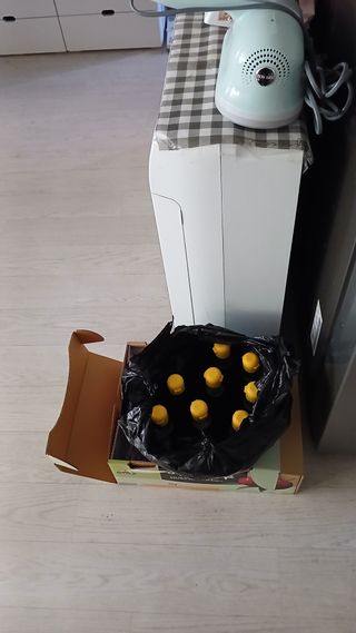 용기님의 기타작물 · 영농일지 작성글 사진