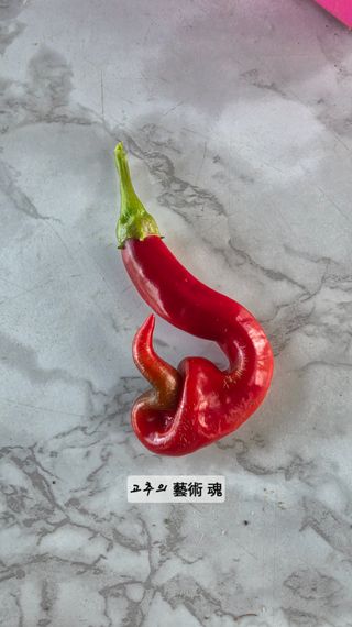 최석주님의 기타작물 · 영농일지 작성글 사진