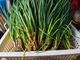 홈 갤러리 이미지