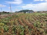 바위돌 심재성님의 작성글 사진