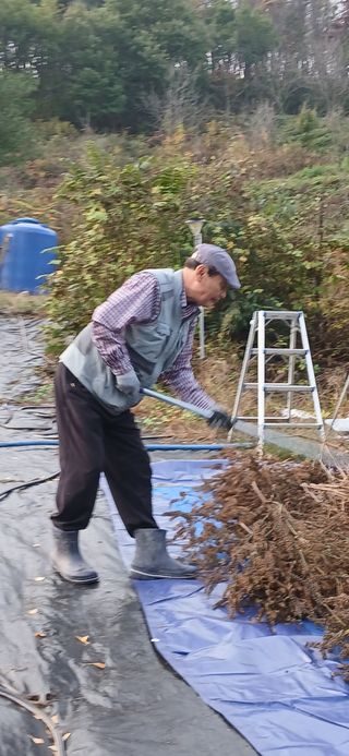 정연섭님의 기타작물 · 영농일지 작성글 사진