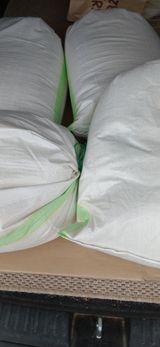 정연섭님의 작성글 사진
