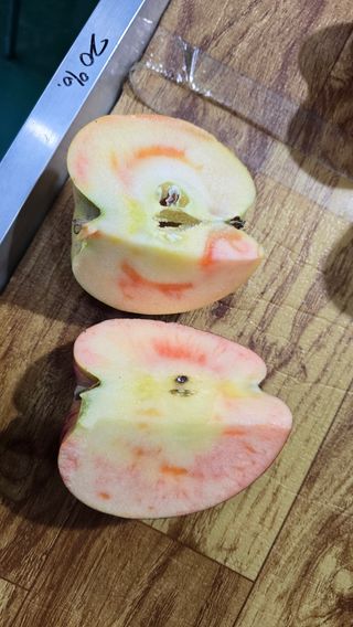 축복의땅 에덴동산님의 기타작물 · 영농일지 작성글 사진