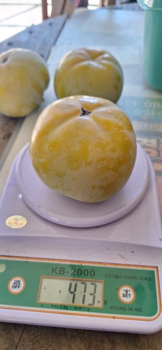 박수천님의 기타작물 · 영농일지 작성글 사진