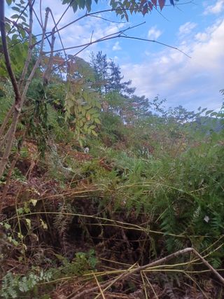 보공(김대호)님의 기타작물 · 영농일지 작성글 사진