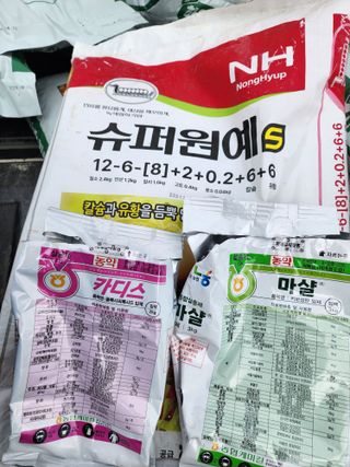 김정기 님의 마늘 · 영농일지 작성글 사진