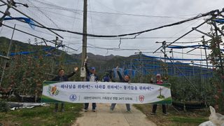 축복의땅 에덴동산님의 기타작물 · 영농일지 작성글 사진