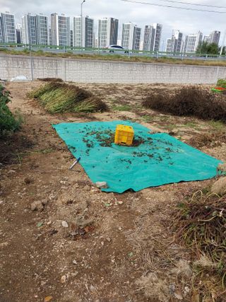 상추20832님의 기타작물 · 영농일지 작성글 사진