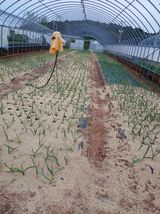 최유순님의 작성글 사진