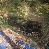 오케바리(옥경종)님의 작성글 사진