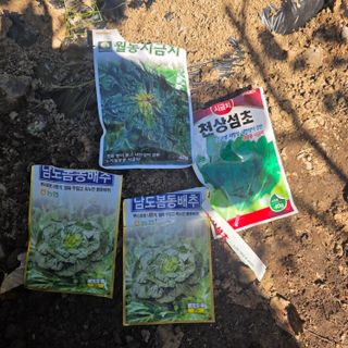 오케바리(옥경종)님의 작성글 사진