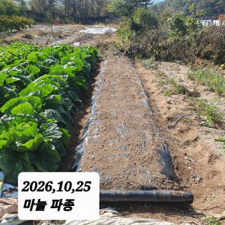 시민농장님의 고추 · 영농일지 작성글 사진