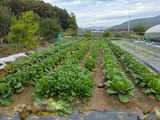 박상중님의 작성글 사진