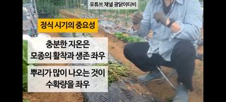 정찬영님의 기타작물 · 영농일지 작성글 사진