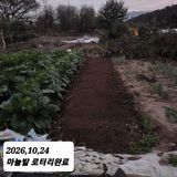 시민농장님의 작성글 사진