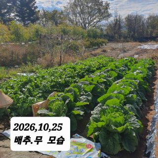 시민농장님의 고추 · 영농일지 작성글 사진