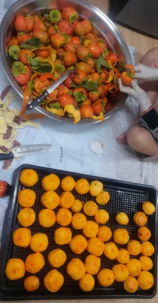 내장산초보농부님의 감 · 영농일지 작성글 사진