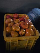 최강K님의 작성글 사진