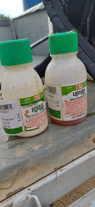 한재승님의 작성글 사진