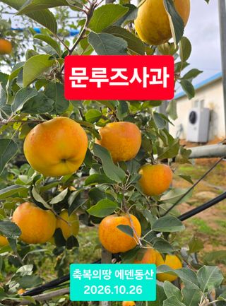 축복의땅 에덴동산님의 기타작물 · 영농일지 작성글 사진