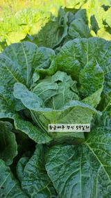 최석주님의 작성글 사진