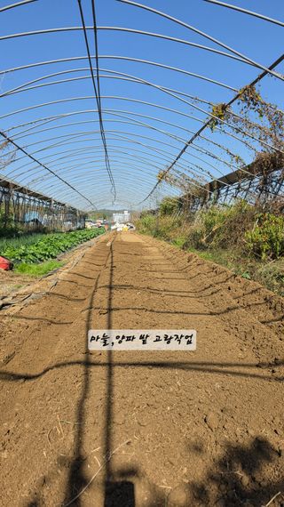 최석주님의 기타작물 · 영농일지 작성글 사진