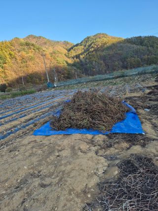 강윤석님의 기타작물 · 영농일지 작성글 사진