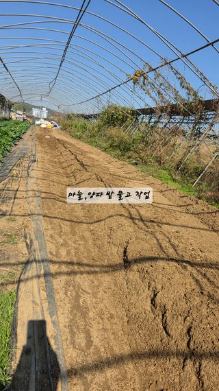 최석주님의 기타작물 · 영농일지 작성글 사진