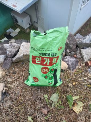 이윤님의 기타작물 · 영농일지 작성글 사진