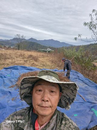 원머루 강낙도님의 들깨 · 영농일지 작성글 사진