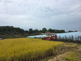 착한농부 안병하님의 기타작물 · 영농일지 작성글 사진