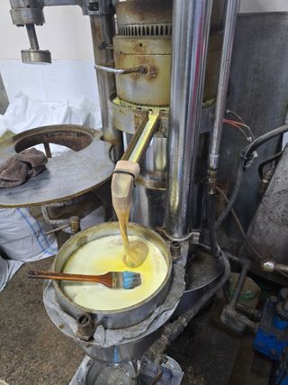 심기정님의 들깨 · 영농일지 작성글 사진
