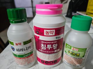 김상엽님의 딸기 · 영농일지 작성글 사진
