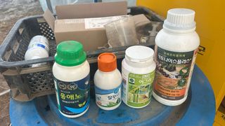 김성진님의 양배추 · 영농일지 작성글 사진