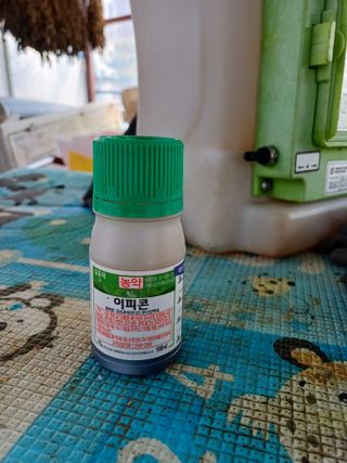 김진현님의 배추 · 영농일지 작성글 사진