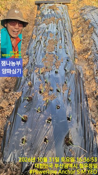 황동 여순모님의 기타작물 · 영농일지 작성글 사진
