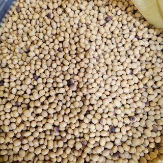 백용기님의 자유주제 · 자유게시판 작성글 사진