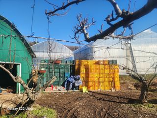 지켜본다님의 자유주제 · 자유게시판 작성글 사진