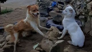 알 수 없음님의 자유주제 · 자유게시판 작성글 사진