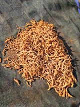 팜모닝 자유주제·자유게시판 게시글 이미지