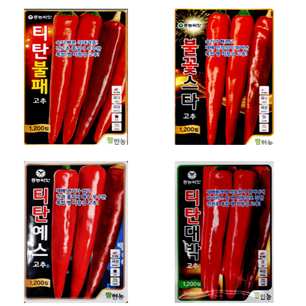 대산농사대장님의 장터 판매 상품 [빅세일  25년  슈퍼슐탄 복합내병계 1200립  한농씨앗] 첨부 사진