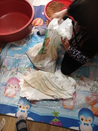 알 수 없음님의 자유주제 · 자유게시판 작성글 사진