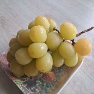 이용백님의 자유주제 · 자유게시판 작성글 사진