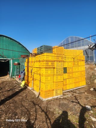 지켜본다님의 자유주제 · 자유게시판 작성글 사진