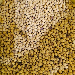 백용기님의 자유주제 · 자유게시판 작성글 사진